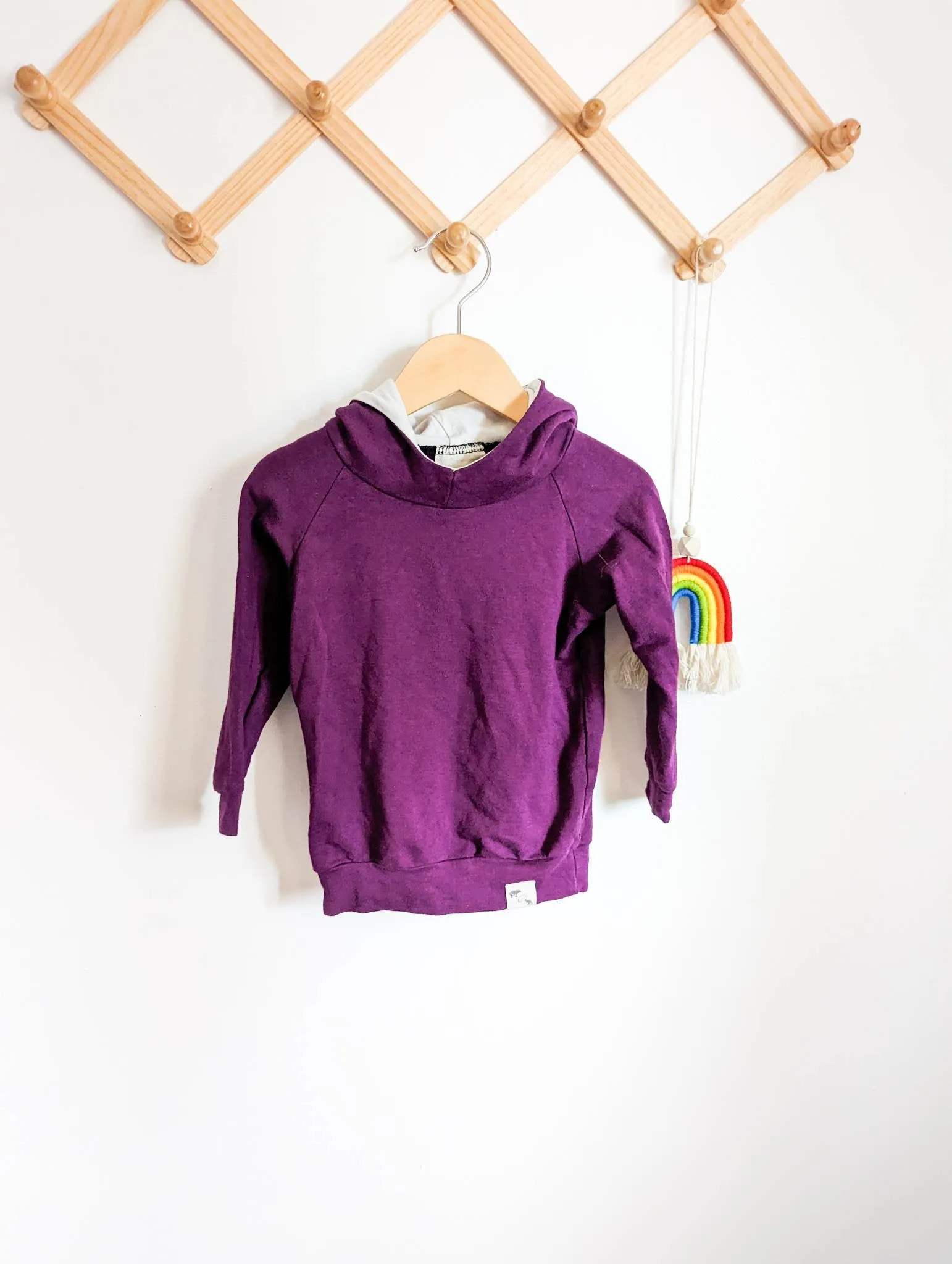 Bear & Roo Purple Pullover Hoodie (2T)